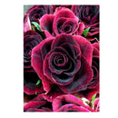 Full Drill Rose DIY 5D Diamond Painting Embroidery Kit For Home Room Decor