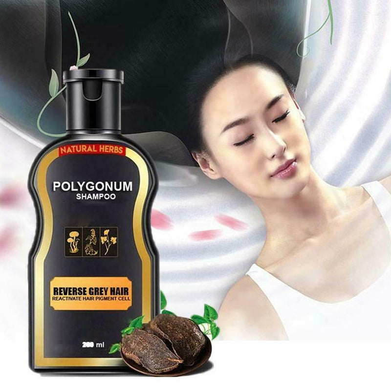 Shampoo Hair Care Ginger Bar Hair Growth Hair Care Moisturizes Shampoo 200ml