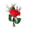 Birthday Gift Beauty And The Beast Red Rose With Fallen Petals In A Glass D S9L4