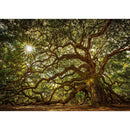 DIY Full Round Drill Diamond Drawing Tree Forest Landscape Painting Kit