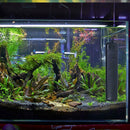 Mini Aquarium Heater Submersible Fish Tank Adjustable Water Thermostat AU