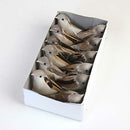 Pack 24Pcs Artificial Feather Bird Foam Birds Home Table Decor Photo Props
