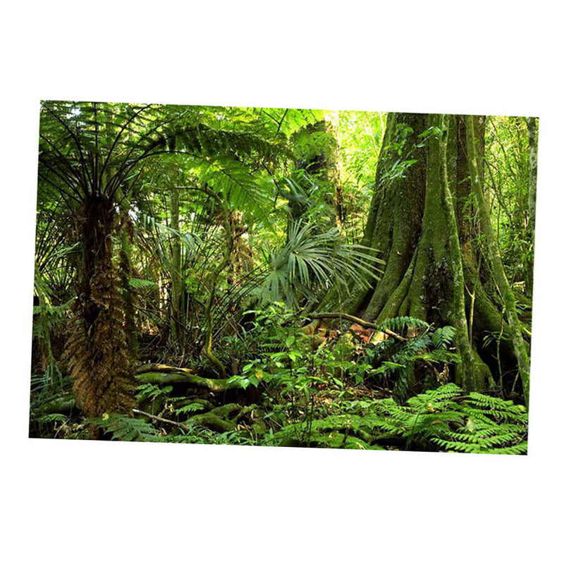 Aquarium   Tank Background Poster Rainforest Landscape Decor 60x150cm