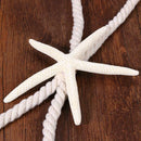 Simple Style Natural Sea Star Binding Rope Curtain Tieback Strap Holder
