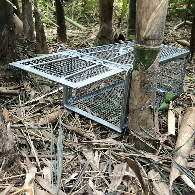 Mouse Rat Trap Cage Live Animal Pest Rodent Mouse Control Bait Catch J7B5