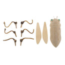 Natural DIY Bamboo Cicada Insects Kids Children Creative Educational Toys