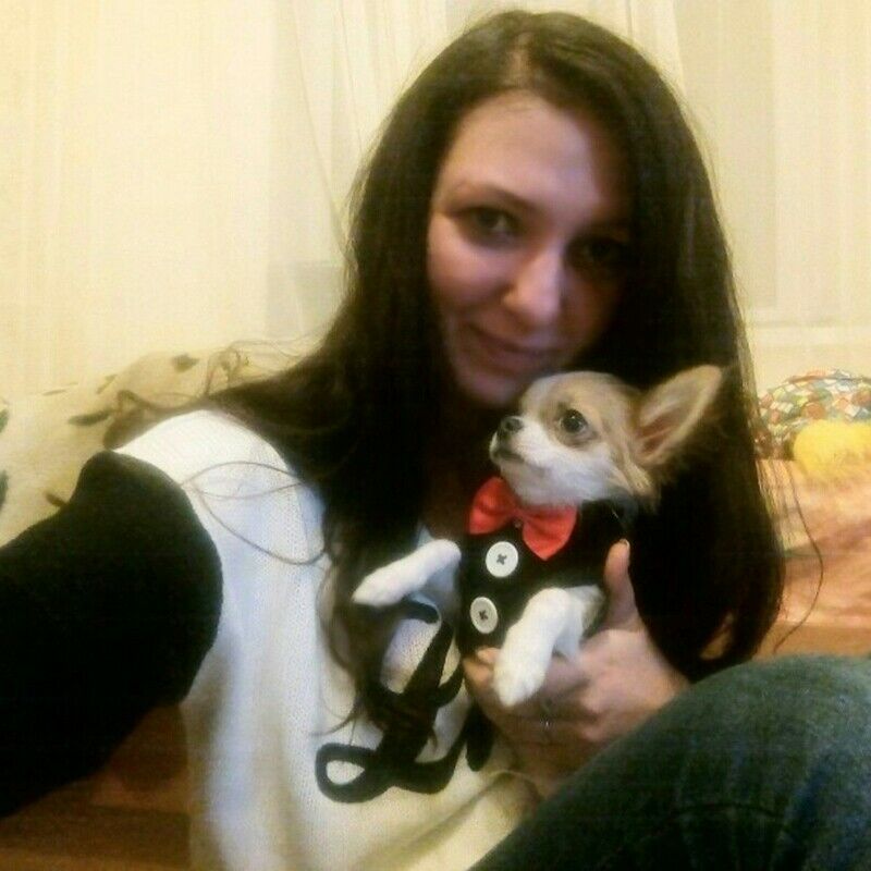 Dog Vest Pet Dog Harness Leash Set for Small Medium Dogs Bow Tie Formal Dre