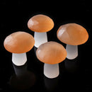 Natural Selenite Quartz Crystal Polished Mushroom Crystal Stone  Ornaments