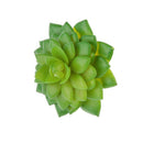 2pcs Artificial Succulent Desert Alocasia/Echeveria Green Real Touch Plants