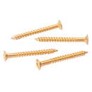 4Pcs Guiter Golden Neck Plate Screws Replacement Parts Golden For  ST