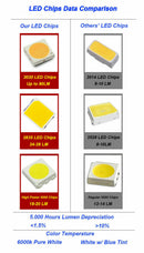 White 12V LED Interior Map Dome Trunk Lights 31mm Festoon New Bulbs C7V3