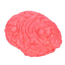 Scary Haunted House HUMAN BRAIN Organ Body Part Halloween Horror Prop Decor S â„–[