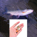 5.5g Fishing Lure Spoon Bait ideal for Bass Trout Perch pike rotating Fishing TO