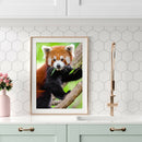5D DIY Full Round Drill Diamond Painting Climbing Koala Cross Stitch Decor A