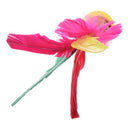 Outdoor Sports 4 Colors Feather Chinese Jianzi Game Shuttlecock 8.3 High