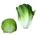 2pc Imitation Vegetables Cabbage& Lettuce Store Cabinet Display Food-