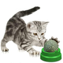 Toys Puzzle Ball 9SRO Cat Pure Leaf Ball Rotating Catnip Mint Natural For Balls