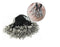 100Pcs Black Cell Phone Rope Strap Charm Cords Lariat Clip Lanya ES