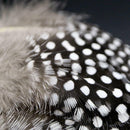 100PCS High Quality Guinea Fowl Feather Christmas Wedding Home Decoration GJD