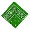 Women Men Novelty Paisley Print Cowboy Bandana Head Wrap Kerchief Green