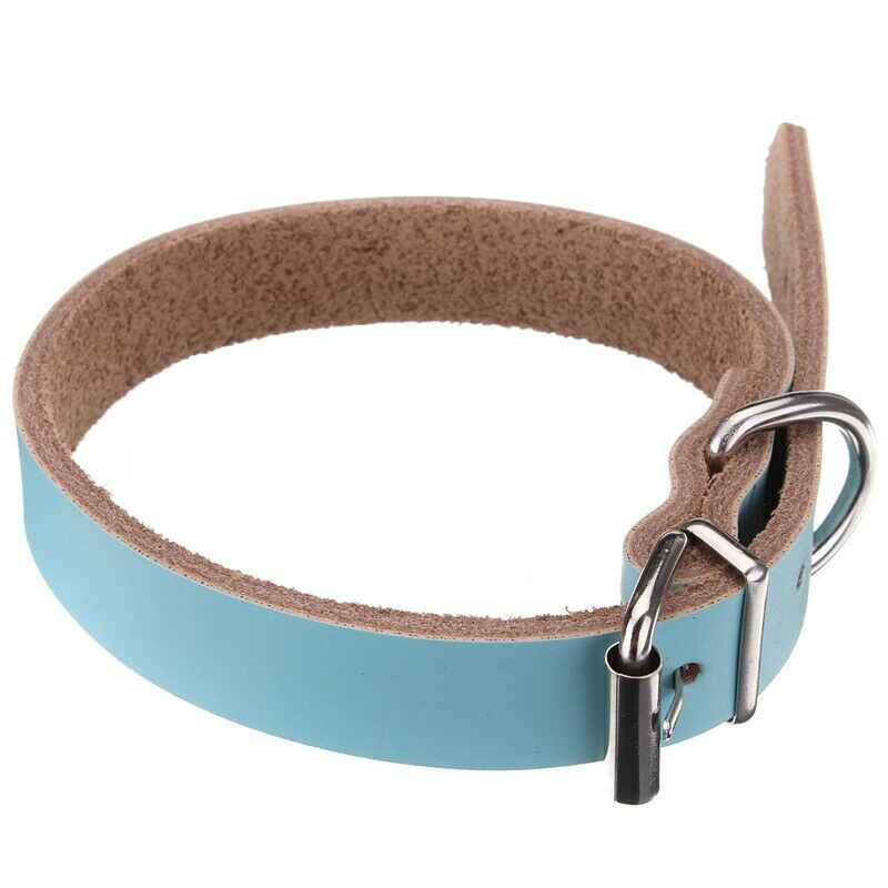 Leather collar For Dog Cat Pet Puppy Blue-XS