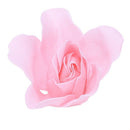 12 Pcs Bathing Pink Rose Bud Flower Petal Soap + Heart Shape Box