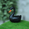 Mini Landscape Moss Ornament Cartoon Small Ornaments Black Swan