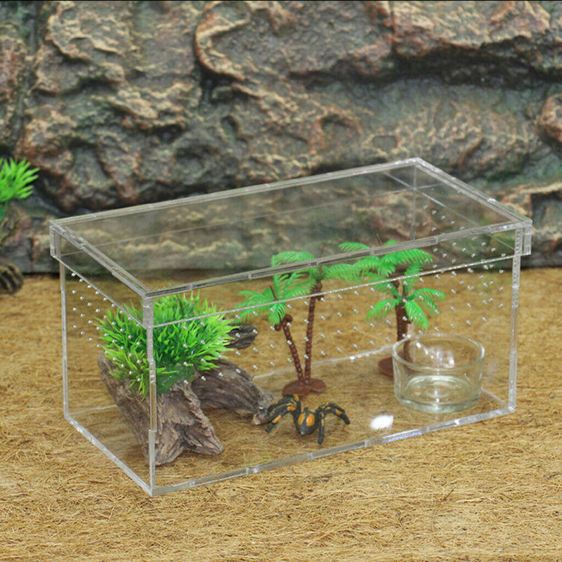 Good Ventilation - Acrylic Reptiles Terrarium Container Amphibians Lizards live