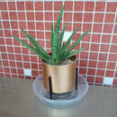 10-pack Round Clear Plant Pot Saucer Drip Water Trays Plate 15cm Recyclable