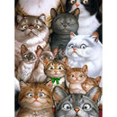 5D DIY Diamond Painting Cat Cross Stitch Embroidery Mosaic Kit Needlework