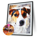 Full Round Drill 5D DIY Diamond Painting Dog Animal Embroidery Art (SM001)