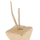 10pc Parrot Teeth Grinding Toys Bird Squirrel Hamster Calcium Stone Chewing