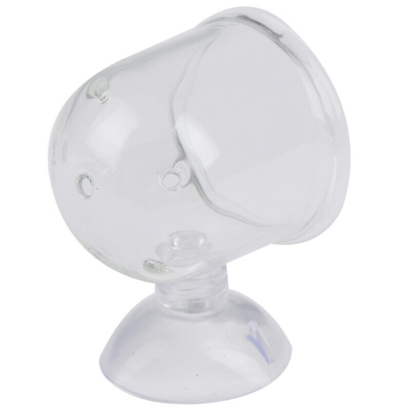 Pinhole Pot Plant Feeding Cup Holder Shrimp Aquarium Fish Tank Aquatic Feeder FT