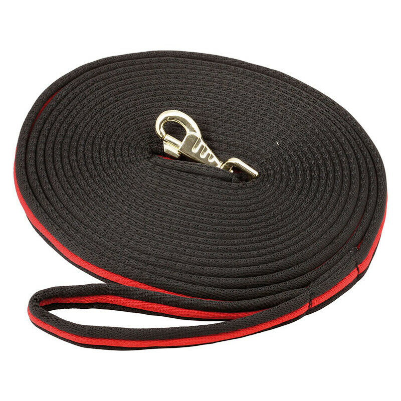 8M Horse Lunge Line Large Dog Training Lead Webbing Equestrian Horse Rope Po Gw