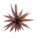 Artificial Succulent Plants Agave Titanota Cactus Simulation Flowers