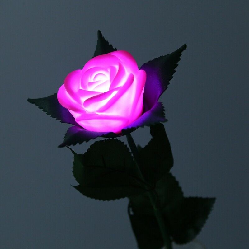 Rose Romantic Outdoor Yard Garden Path Way Tulip Bar Landscape Flower Night