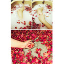Dry Rose Petals Red Rose Petals Suitable for Shower Foot Bath Wedding Color C3C6