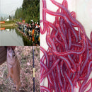 50 Pcs Soft Red Earthworm Fishing Bait Worm Lures Crankbaits Hooks Tackle Baits