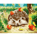 Painting By Numbers Kit DIY Hedgehog Hand Painted Canvas Oil Art Picture A
