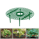1Pcs Strawberry Holder Supports Keeping Fruit Elevated To Avoid Ground Rot