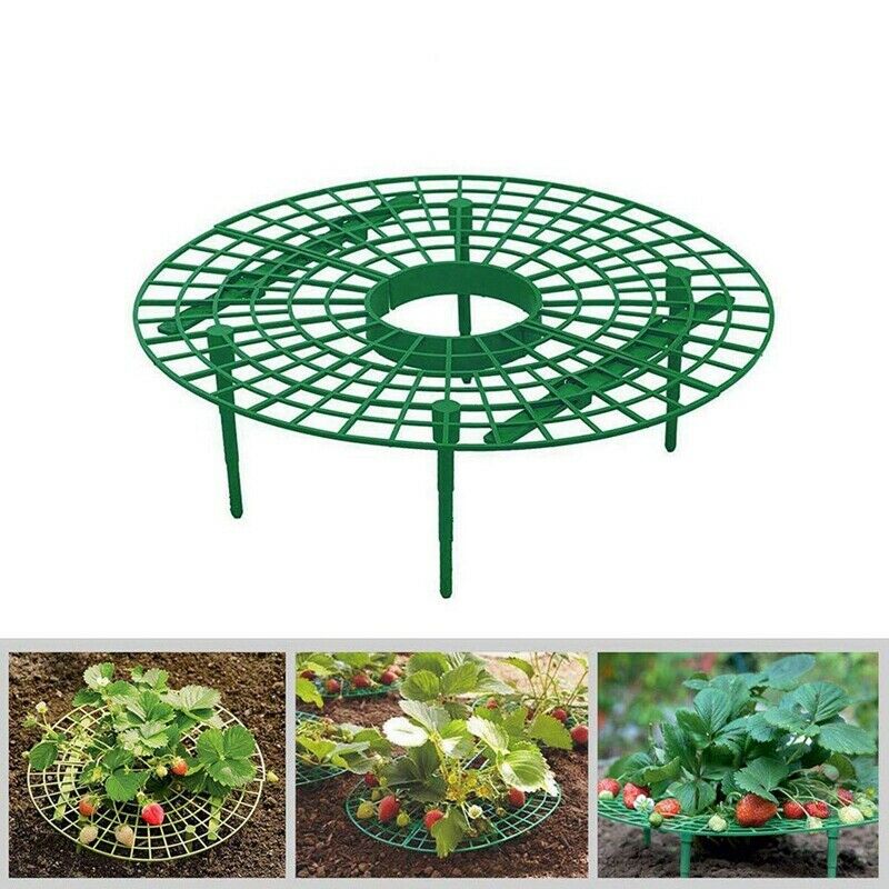1Pcs Strawberry Holder Supports Keeping Fruit Elevated To Avoid Ground Rot