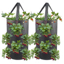 Hanging Strawberry Planter for Strawberry Bare Root Plants 2 Pack Hanging P