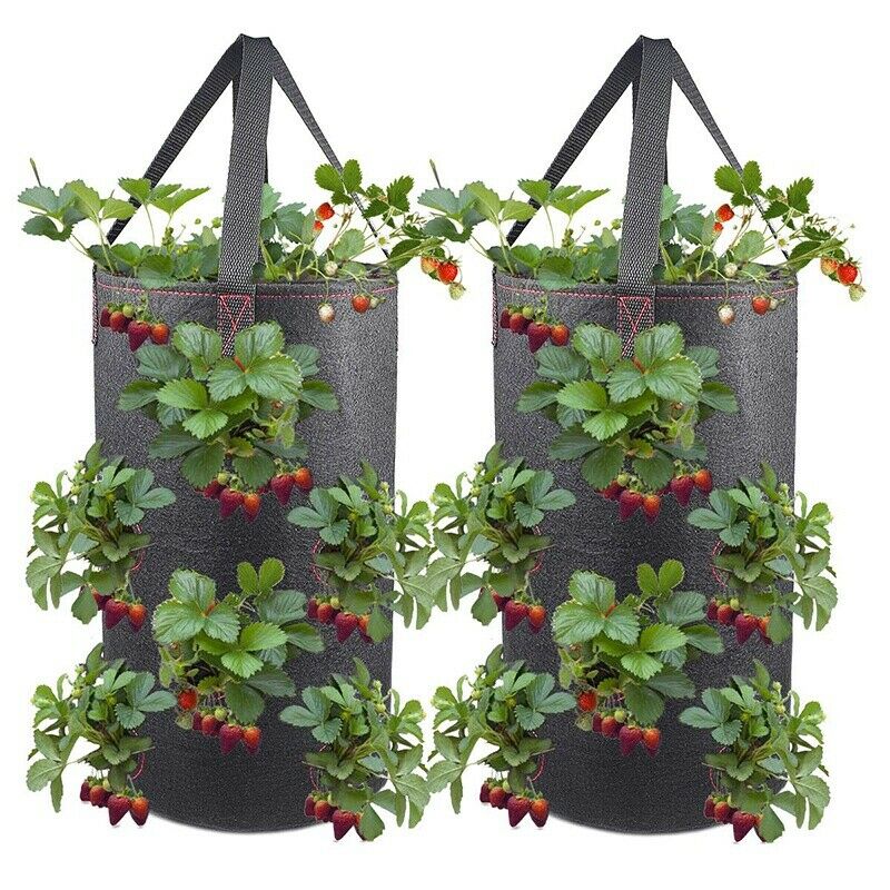 Hanging Strawberry Planter for Strawberry Bare Root Plants 2 Pack Hanging P