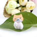 6X lucky Cats Micro Landscape Microlandschaft Pot Culture Tools Decor MiniaturME