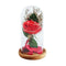 Birthday Gift Beauty And The Beast Red Rose With Fallen Petals In A Glass D S9L4
