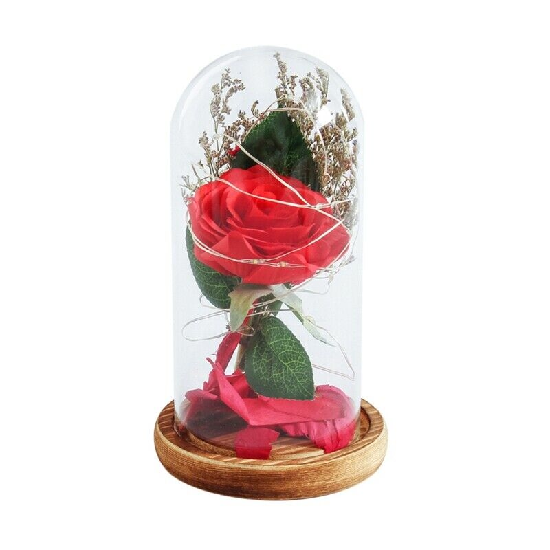Birthday Gift Beauty And The Beast Red Rose With Fallen Petals In A Glass D S9L4