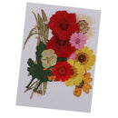 2 Set Mix Color Dried Real Pressed Flowers Mini Rose/Daisy/Larkspur/Myosotis