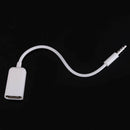 USB Female to AUX 3.5mm Male Jack Plug Audio Converter Adapter Data Cable