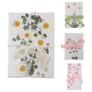 20 x Pressed Dried Daisy & Lobelia Flower Embellishments Card Making Crafts