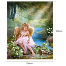 5D DIY Full Drill Diamond Painting Girl Angel Cross Stitch Embroidery Kits